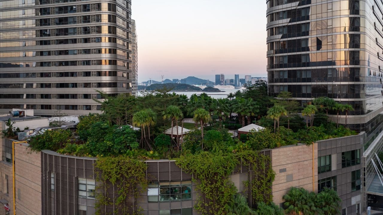 Telhado verde: veja as vantagens e como construir um telhado ecológico