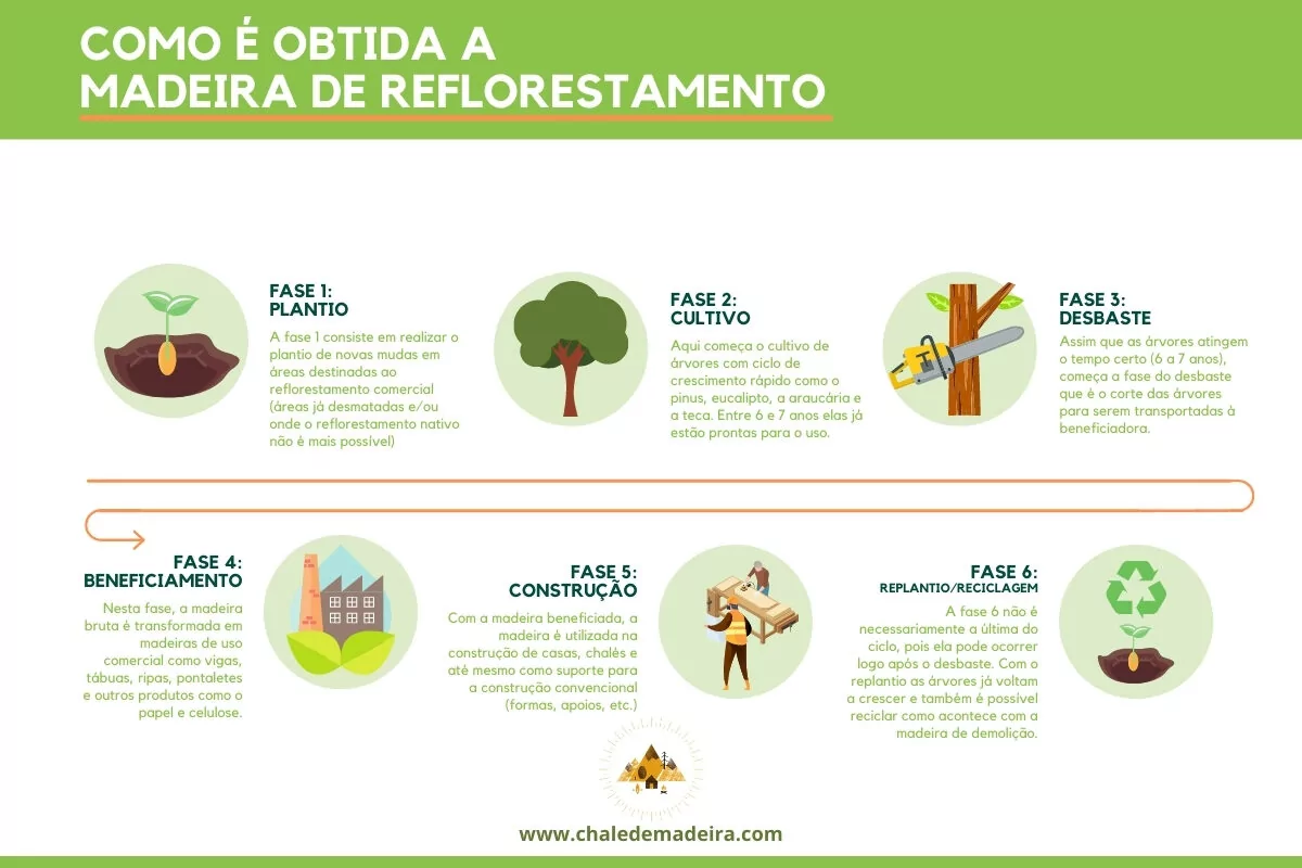 infográfico madeira de reflorestamento