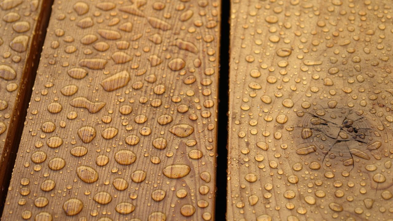 Madeira resistente à água: confira as melhores opções para seu projeto