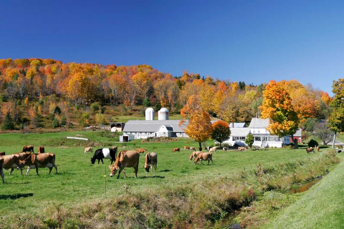 Casa de fazenda a partir de R mil e +8 plantas para download