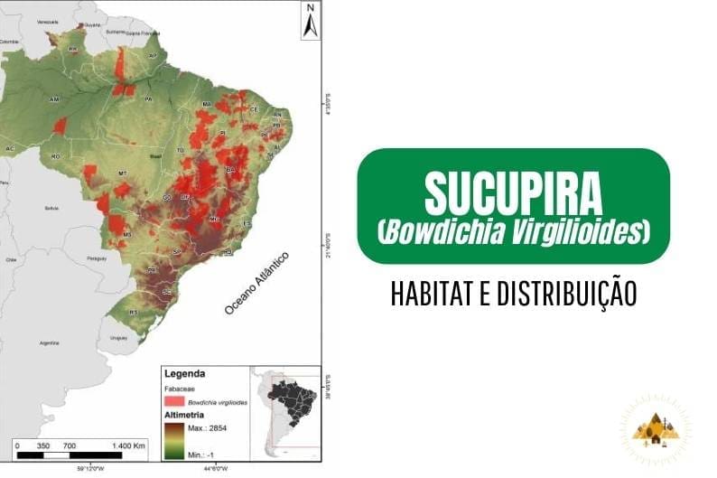 Habitat e distribuição da madeira sucupira