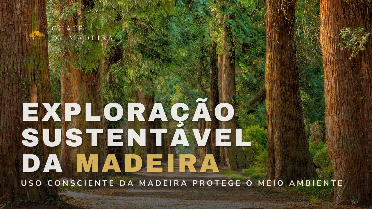 Exploração da madeira que não causa destruição das florestas nativas