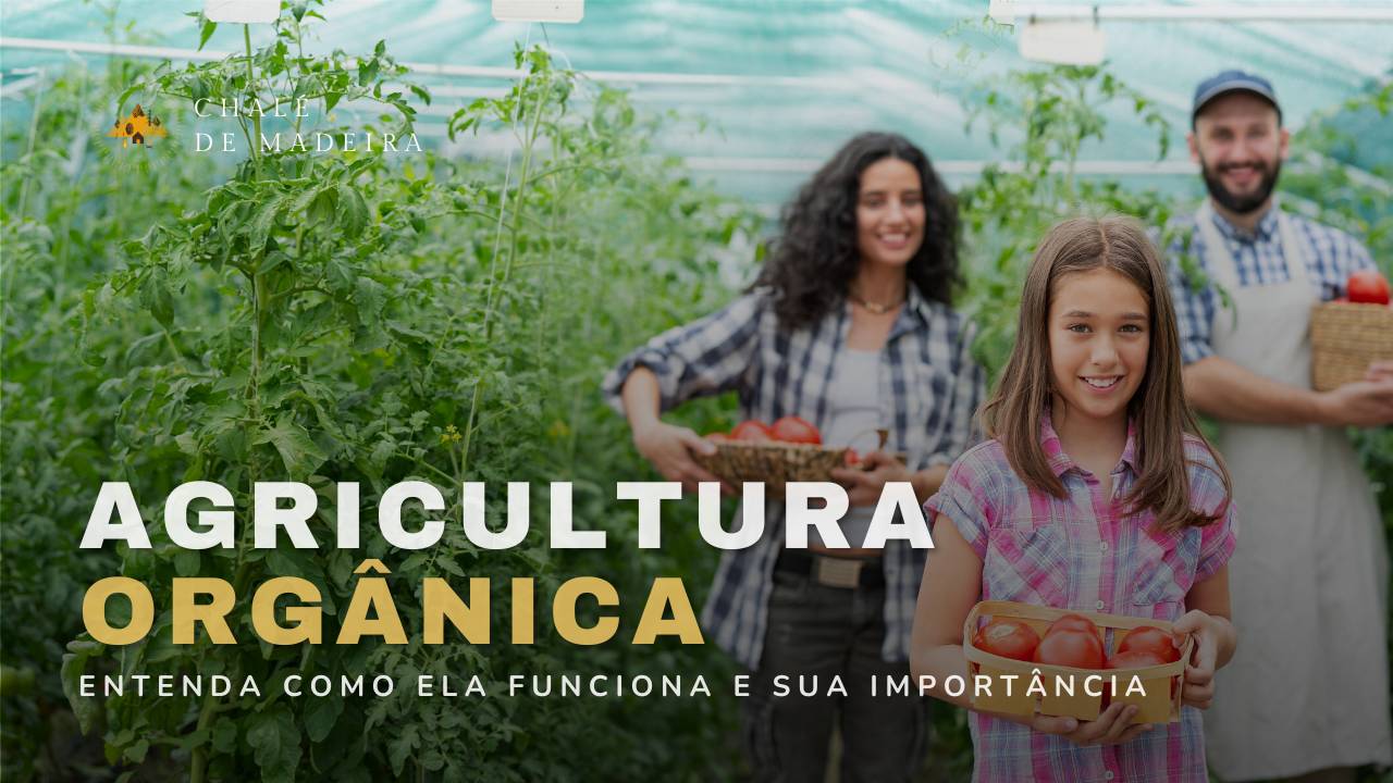 Agricultura Orgânica: entenda os objetivos e como funciona