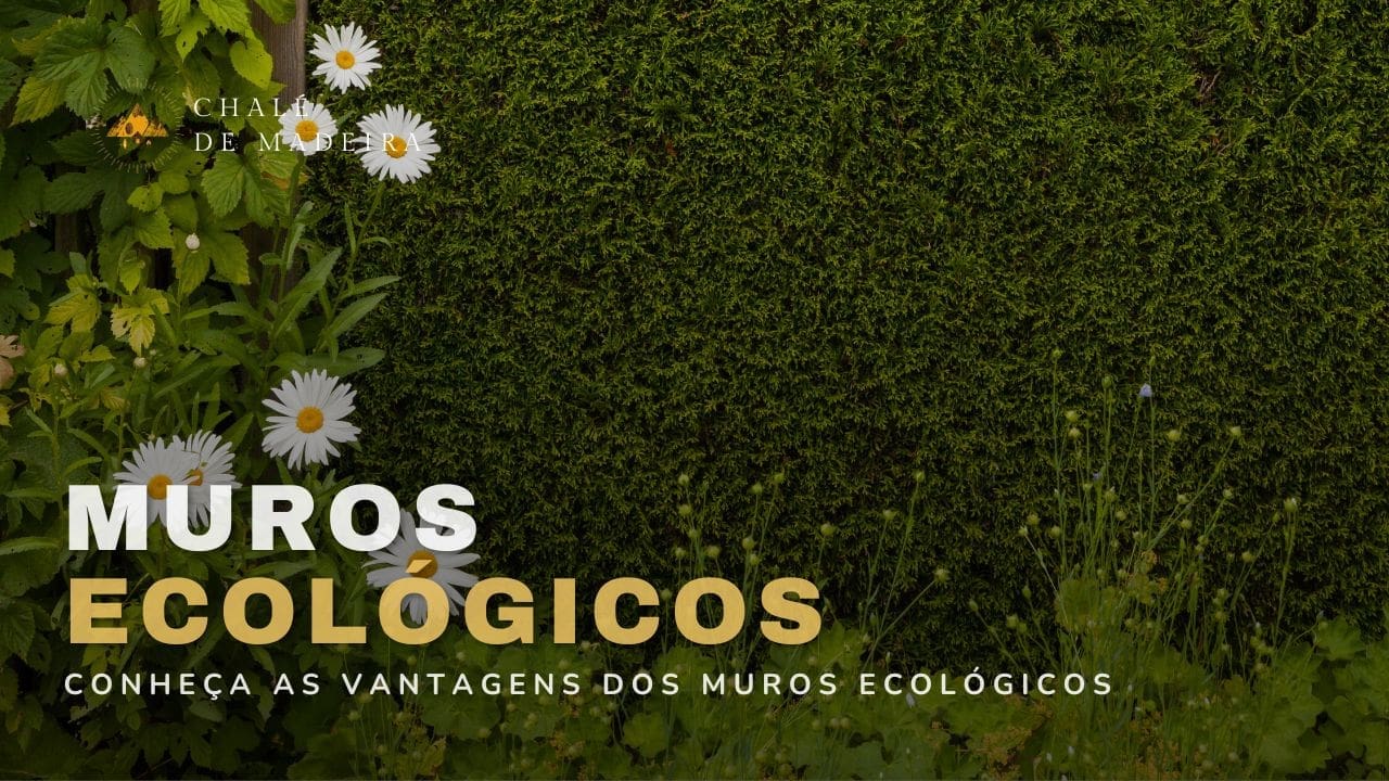 Muros Ecológicos: o que são? Conheça 5 tipos sustentáveis