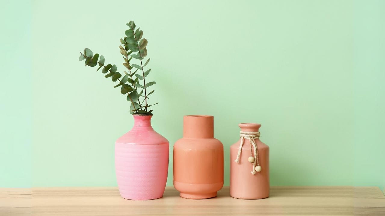 Vasos e plantas em tons de rosa