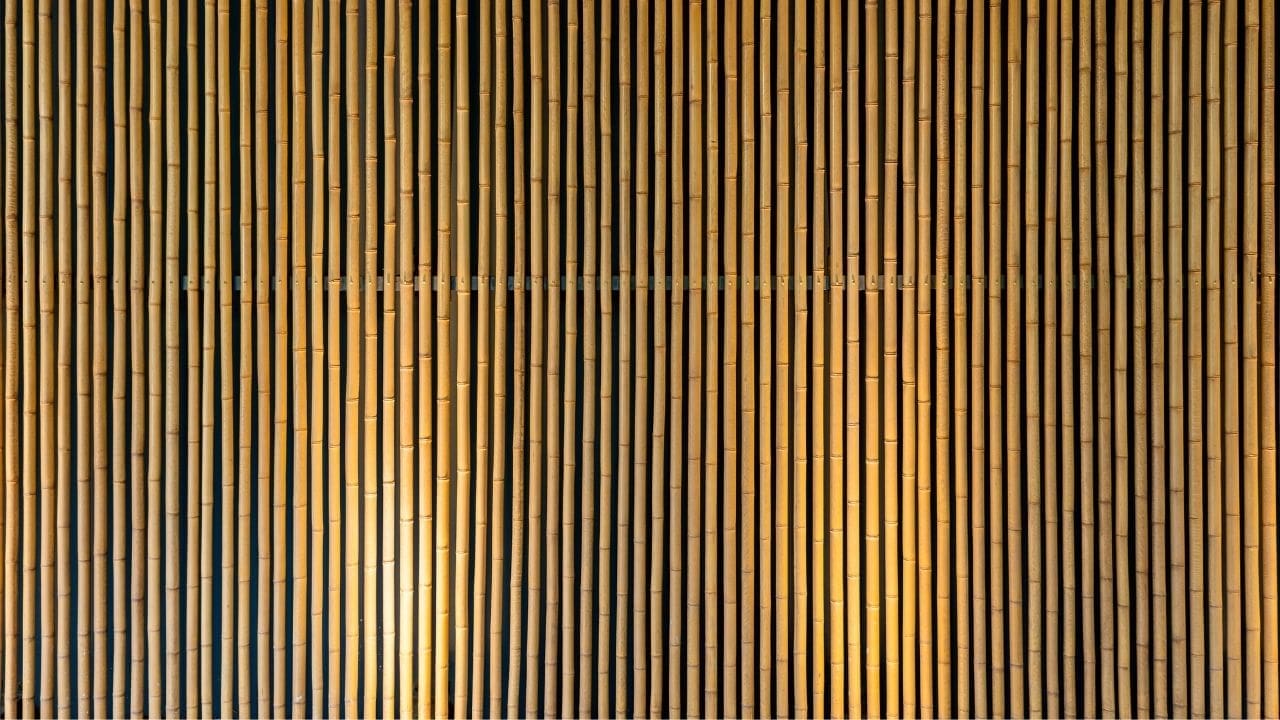 Muro de bambu com iluminação