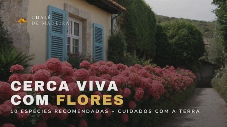 10 plantas para plantar uma cerca viva com flores duradoura